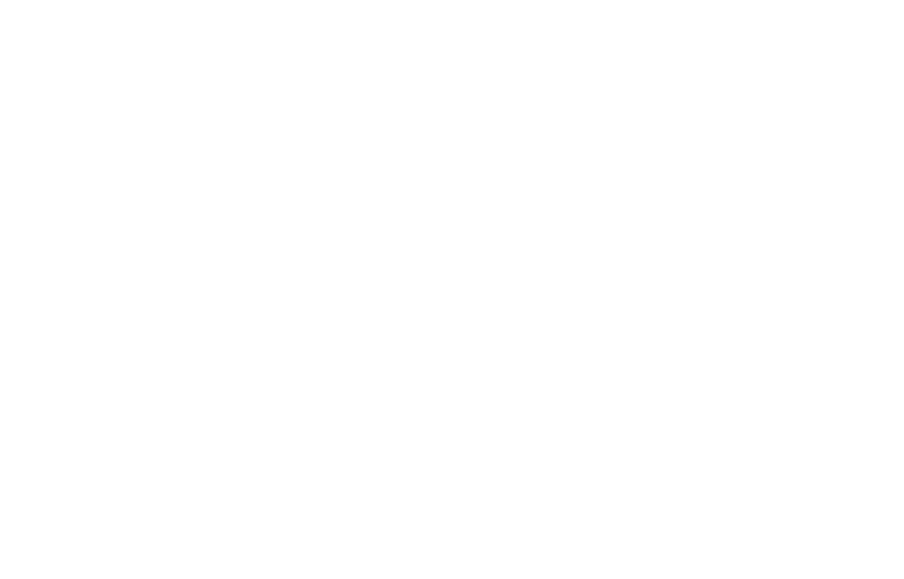 brdy studio logo